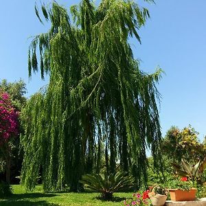 La Casa Dei Sogni